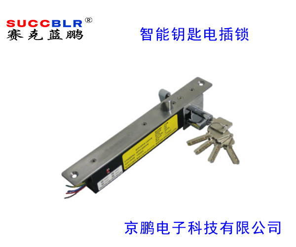 【智能鑰匙型電（diàn）插鎖】賽克藍鵬SUCCBLR智（zhì）能鑰匙型電插鎖SL-S203DW